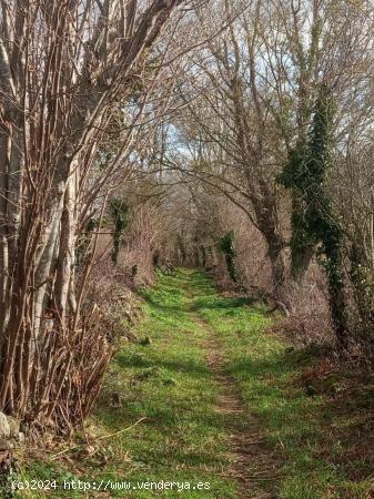 Se Vende Terreno Urbano en Valle de Mena - BURGOS