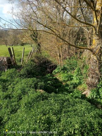 Se vende Finca Urbana en el Valle de Mena - BURGOS