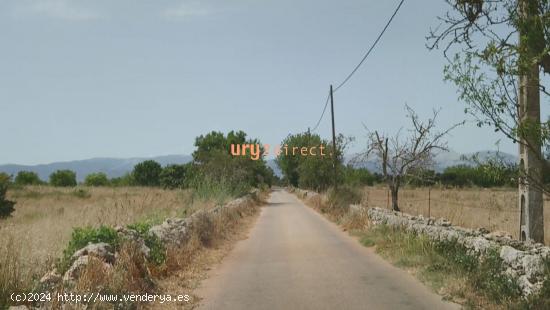 Terreno urbanizable en Sencelles - BALEARES