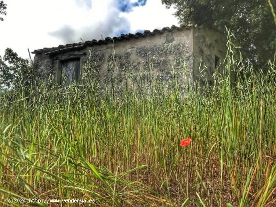 MAGNIFICA FINCA RUSTICA DE 7000mcon casita de 24m totalmente legal - BALEARES