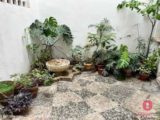 PISO REFORMADO EN PLANTA BAJA - ZONA LA JUDERÍA - CORDOBA