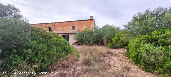 Rústica a reformar íntegramente en Pina, Mallorca - BALEARES