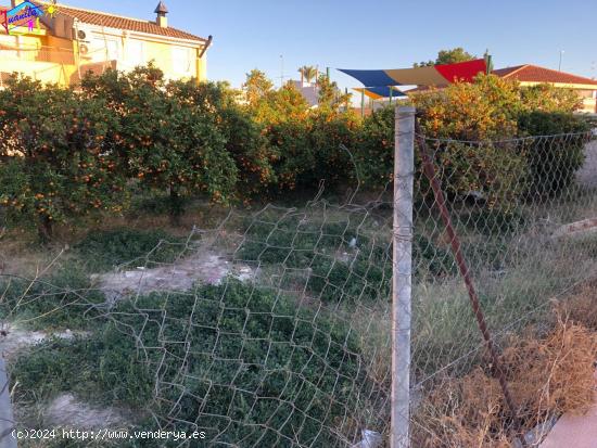 TERRENO URBANIZABLE EN LA PAIRA - MURCIA