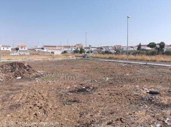 SOLAR URBANO EN CARRIÓN DE LOS CÉSPEDES - SEVILLA