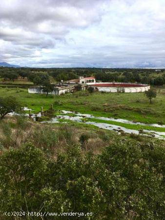 Impresionante finca - cortijo - CACERES