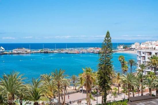 Bonito estudio en Los Cristianos con espectaculares vistas al mar - SANTA CRUZ DE TENERIFE