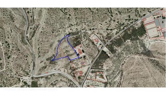 PARCELA RUSTICA DE 5000m EN PARTIDA DE ALTABIX - ALICANTE