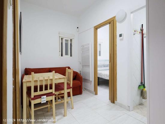 Apartamento entero de 1 habitaciones en Madrid - MADRID