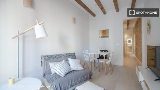 Apartamento entero de 1 dormitorio en Barcelona - BARCELONA