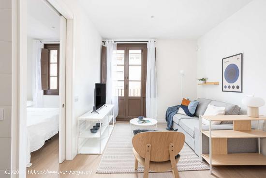 Apartamento entero de 1 dormitorio en Barcelona - BARCELONA