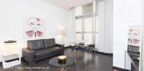 Apartamento entero de 1 habitaciones en Madrid - MADRID