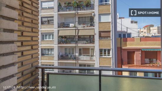 Se alquila habitación en piso de 6 habitaciones en Valencia - VALENCIA