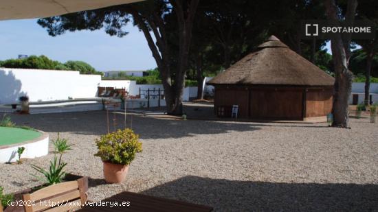 Estudio en Chiclana de la Frontera - CADIZ