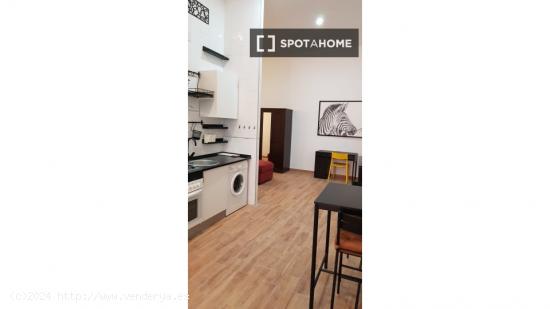 Apartamento entero de 1 habitaciones en Madrid - MADRID