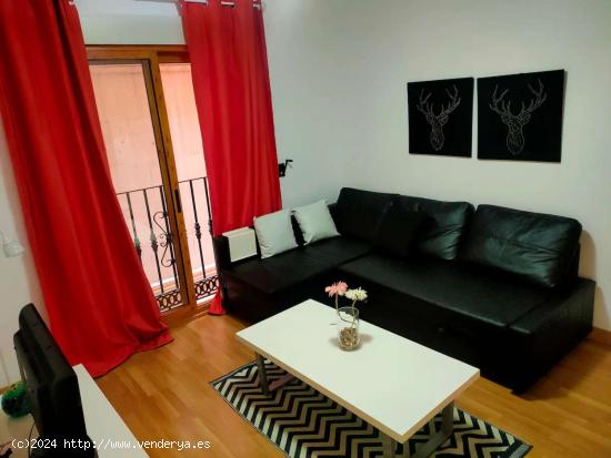  Piso completo de 1 dormitorio en Alicante (Alacant) - ALICANTE 