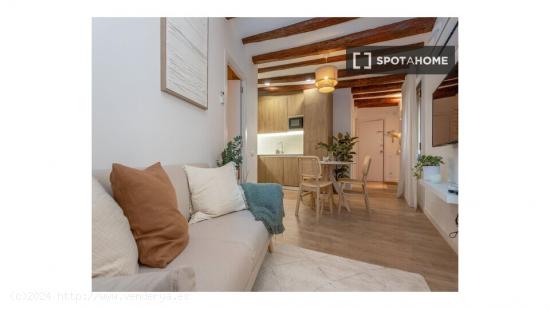 Apartamento de 1 dormitorio en alquiler en Ciutat Vella, Barcelona. - BARCELONA