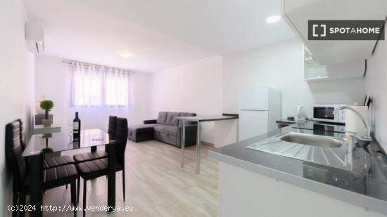 Apartamento entero de 1 habitaciones en Madrid - MADRID