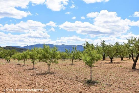  Se Vende en Arens de Lledo - TERUEL 