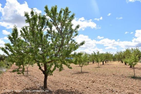 Se Vende en Arens de Lledo - TERUEL