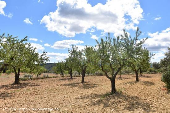 Se Vende en Arens de Lledo - TERUEL