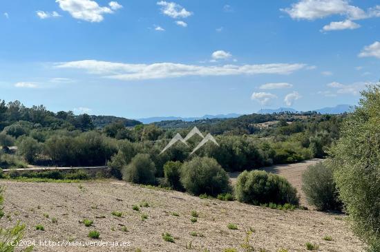 Finca rústica aislada, con licencia de piscina en Sant Joan - BALEARES