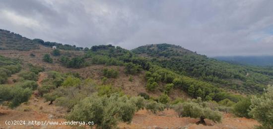 FINCA RÚSTICA - MALAGA