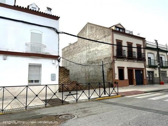 SOLAR EN LA LOCALIDAD DE GUILLENA, SEVILLA. - SEVILLA