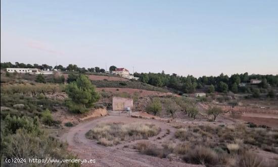  Terreno Agrario - Paraje de las Alquerías - MURCIA 