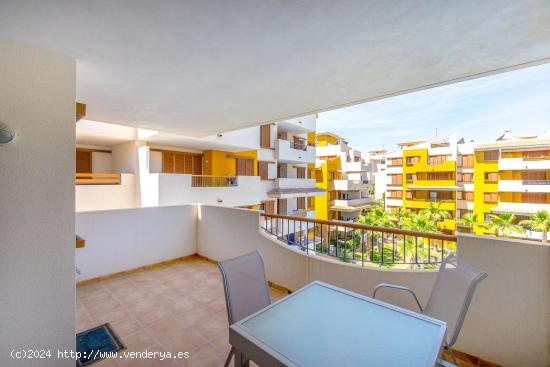  Apartamento la recoleta - ALICANTE 