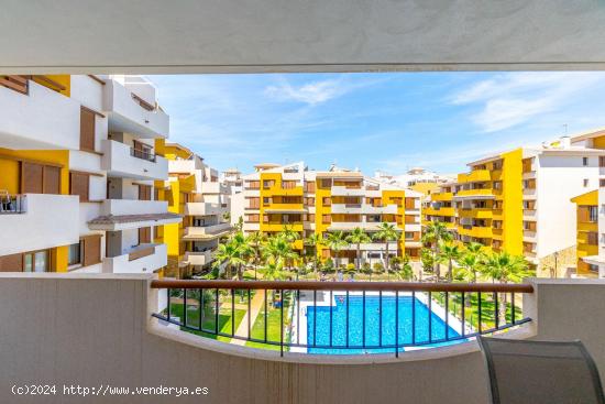 Apartamento la recoleta - ALICANTE