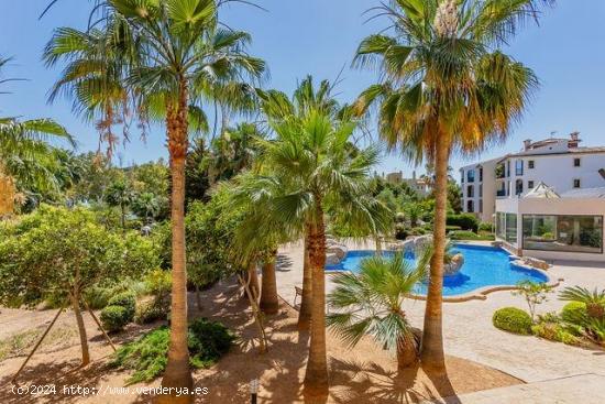 SE VENDE PISO EN COMPLEJO RESIDENCIAL EN SANTA PONSA - BALEARES