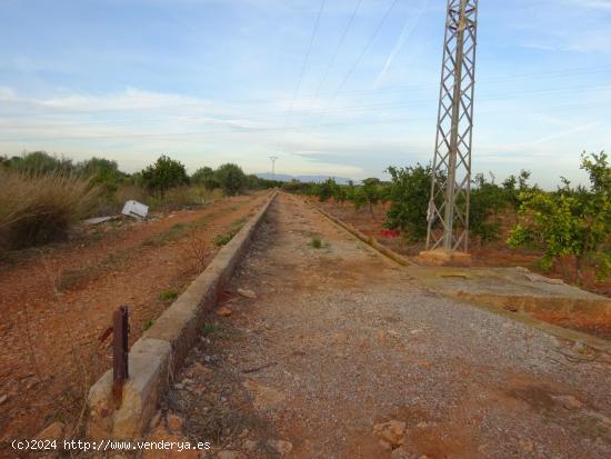  SE VENDE HUERTO EN VILA-REAL - CASTELLON 