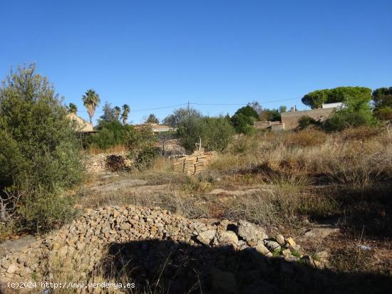  PARCELA URBANA CON CASETA, EN ZONA MADRIGAL - CASTELLON 