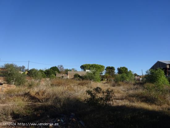 PARCELA URBANA CON CASETA, EN ZONA MADRIGAL - CASTELLON