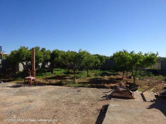 DOS HUERTOS CON CASETA APEROS REHABILITADA - CASTELLON