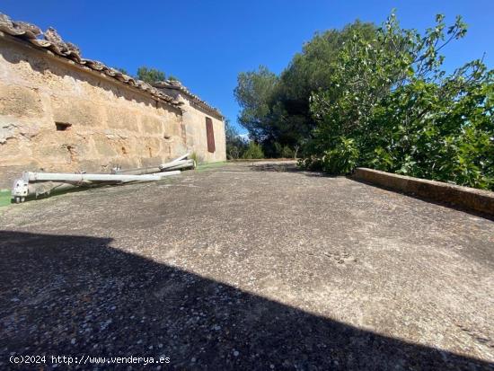 Finca rustica en Muro a 800 metros del mar - BALEARES