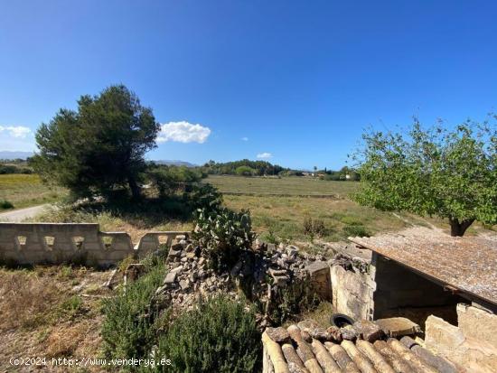 Finca rustica en Muro a 800 metros del mar - BALEARES