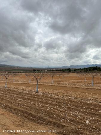 **Terreno agrícola con sistema de riego natural, con producción de almendras y vistas impresionant