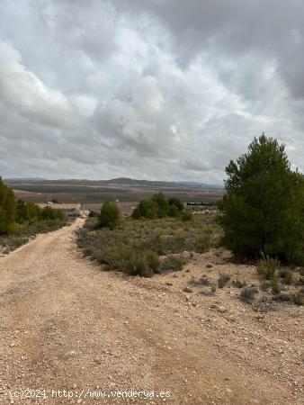 **Terreno agrícola con sistema de riego natural, con producción de almendras y vistas impresionant