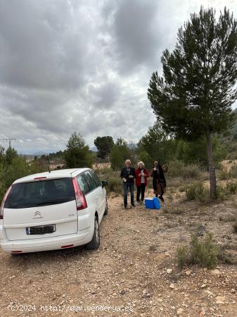 **Terreno agrícola con sistema de riego natural, con producción de almendras y vistas impresionant