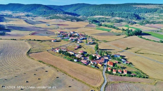 ESPECTACULAR COMPLEJO DE HOTEL + CASA RURAL REFORMADA EN NACIMIENTO DEL RÍO CUERVO (CUENCA)