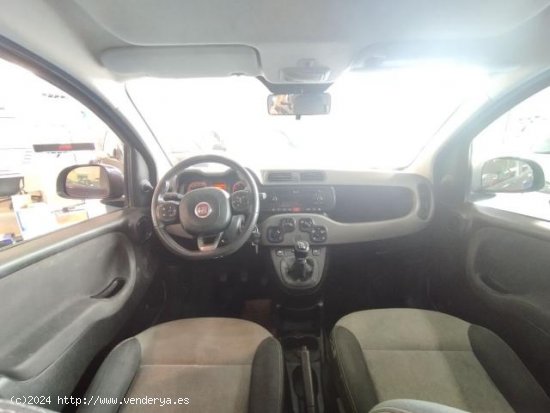 FIAT Panda en venta en Palma de Mallorca (Islas Baleares) - Palma de Mallorca