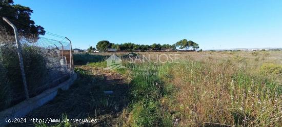 VENTA DE TERRENO EN EL ALTET, ELCHE. ALICANTE - ALICANTE