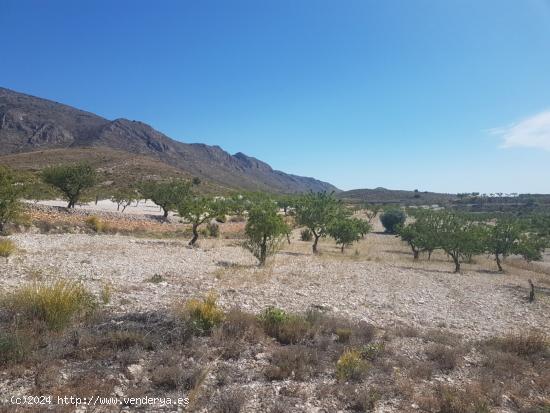 Terreno 17.300 m2  La Canalosa  Hondón de las Nieves (España) - ALICANTE