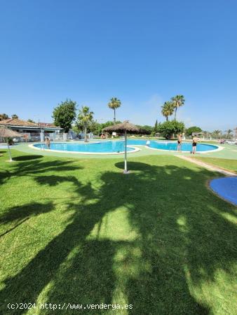  BUNGALOW PLANTA ALTA LAGO JARDIN 1 HAB PISCINA 67.000 EUROS. - ALICANTE 