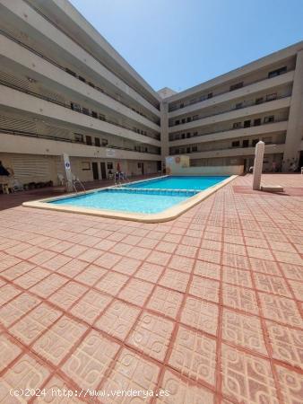 ZONA HABANERAS 2 HABS PISCINA 72.000 EUROS,. - ALICANTE