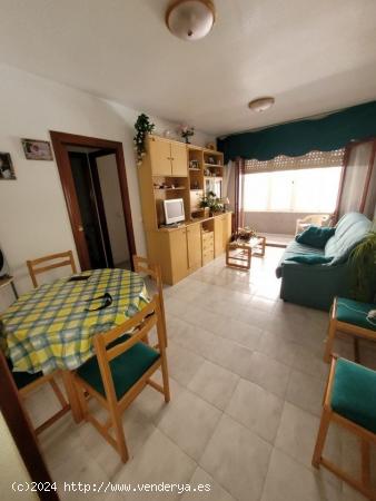 ZONA HABANERAS 2 HABS PISCINA 72.000 EUROS,. - ALICANTE