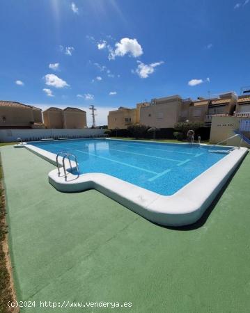  TORREVIEJA BUNGALOW GRAN ESTADO 2 HABS PISCINA 105.000 EUROS - ALICANTE 