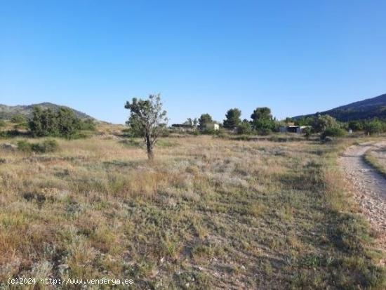  Parcela de terreno en la alquebla - ALICANTE 