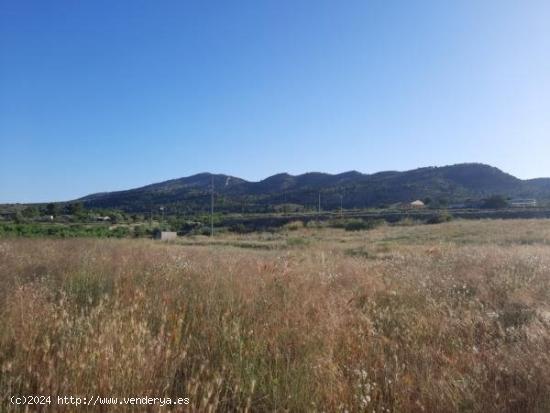 Parcela de terreno en la alquebla - ALICANTE